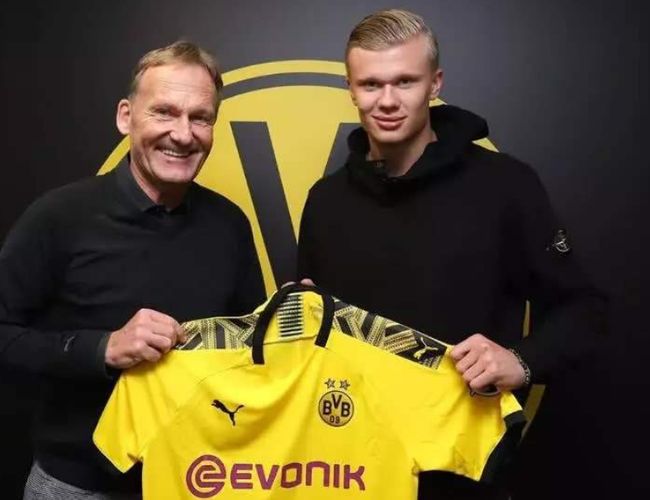 统弹窗公示 统弹窗公示