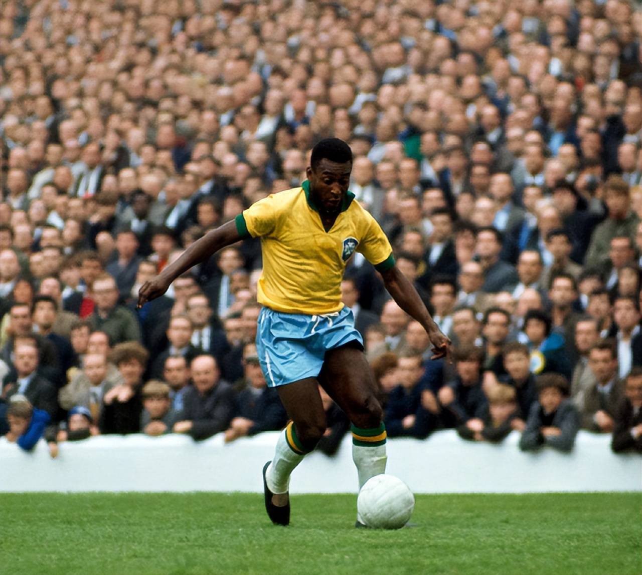 伊森回来了 伊森回来了